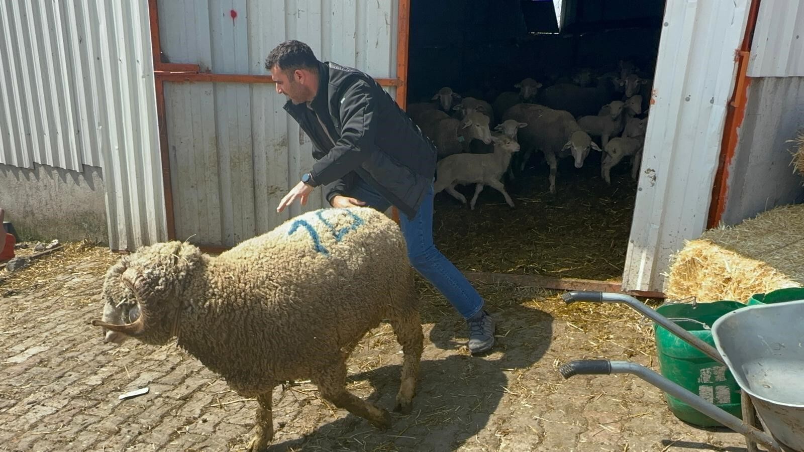 Bursa Milyonluk Koç (2)