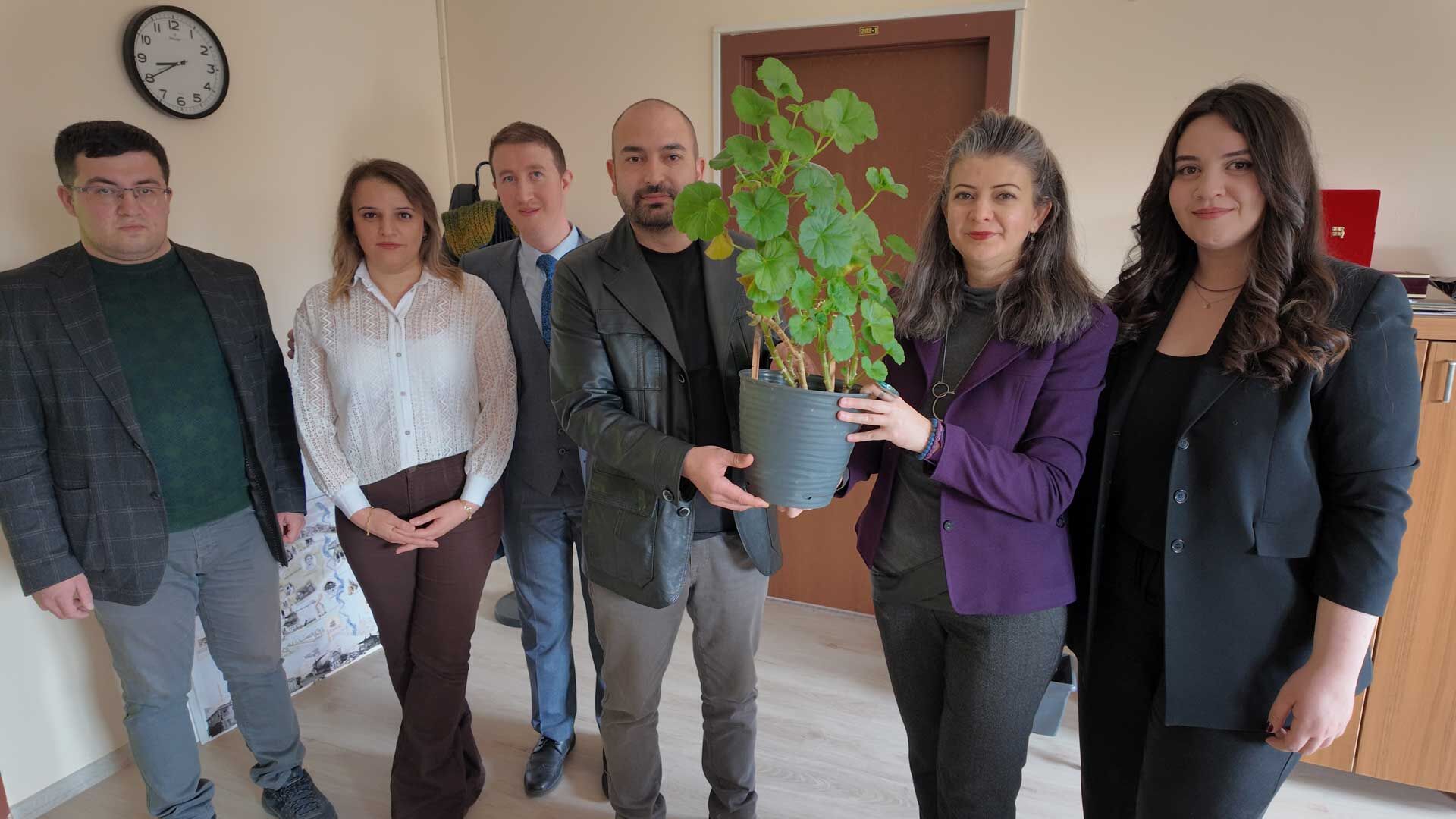 Bolu Bitkiden Elektrik (7)