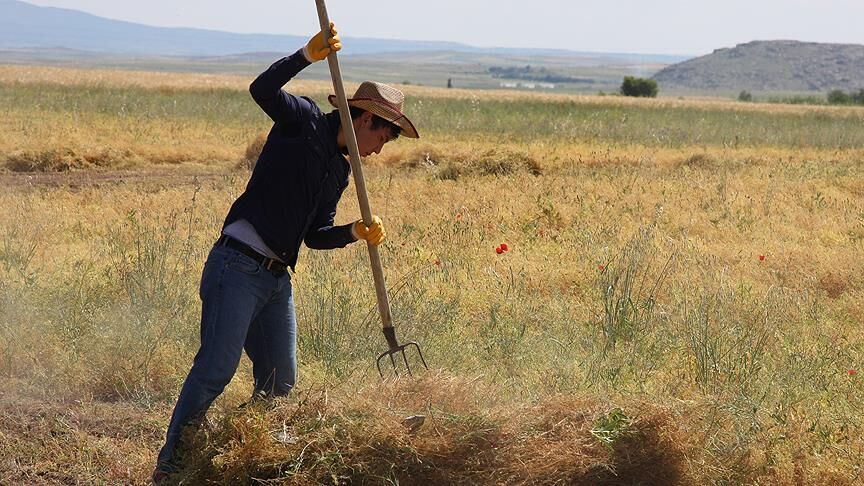 Bolu’da üreticiye 164,6 milyon TL destek sağlandı