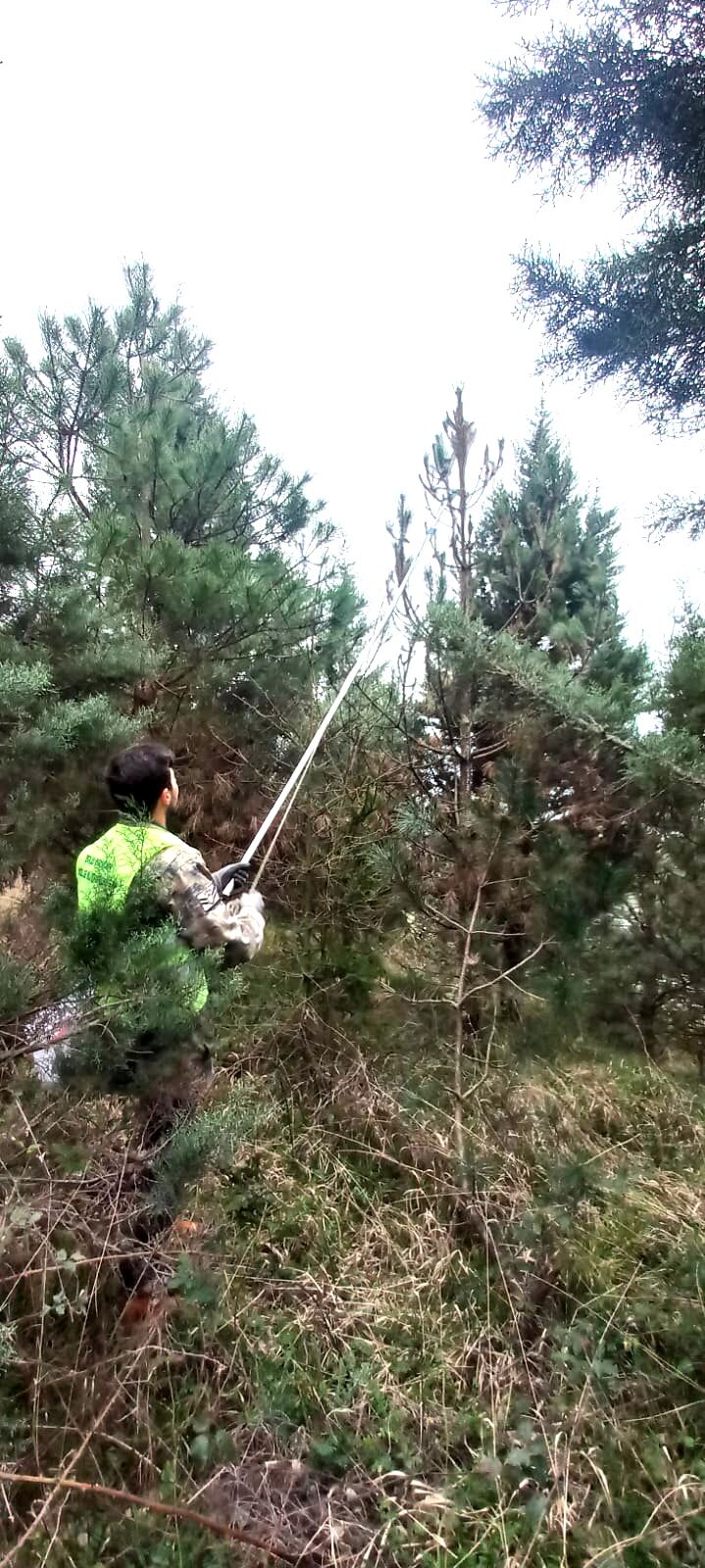 Kese Böceği Düzce (1)