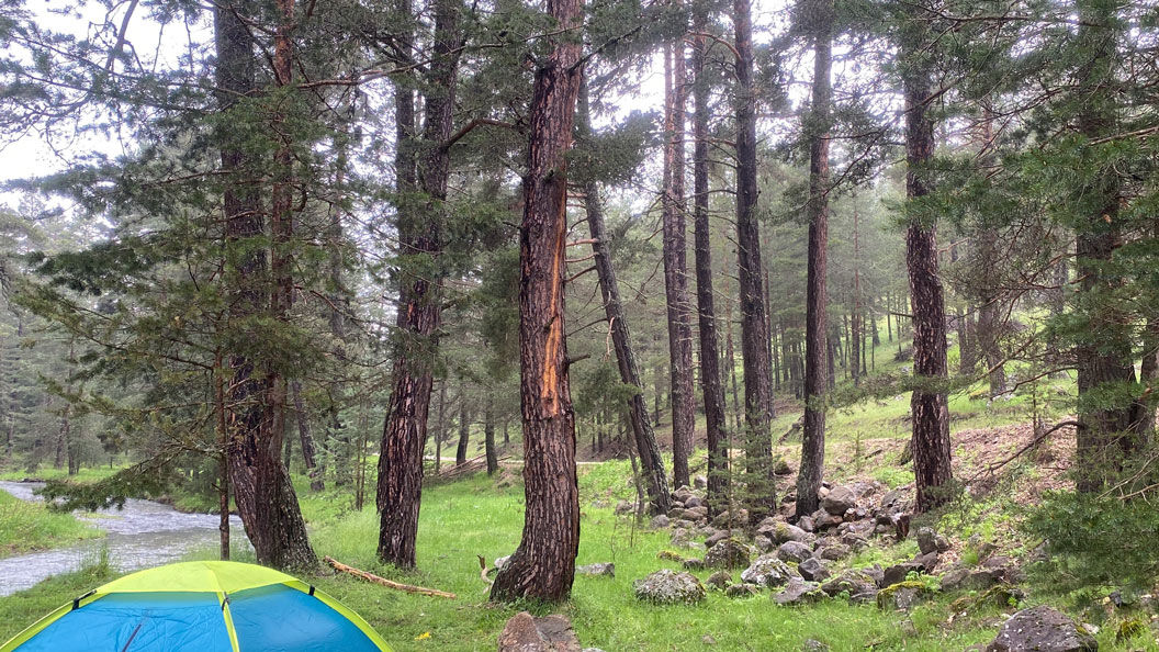 Piknikçiler Yıldırım Bolu (2)