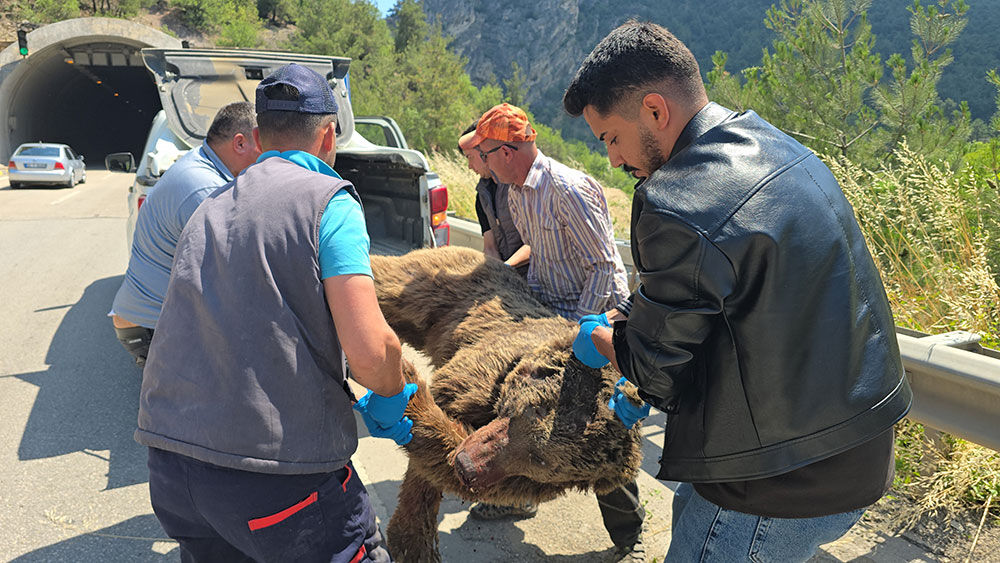 Tünelde Başlayan Yaşam Mücadelesi Çayda Son Buldu (2)