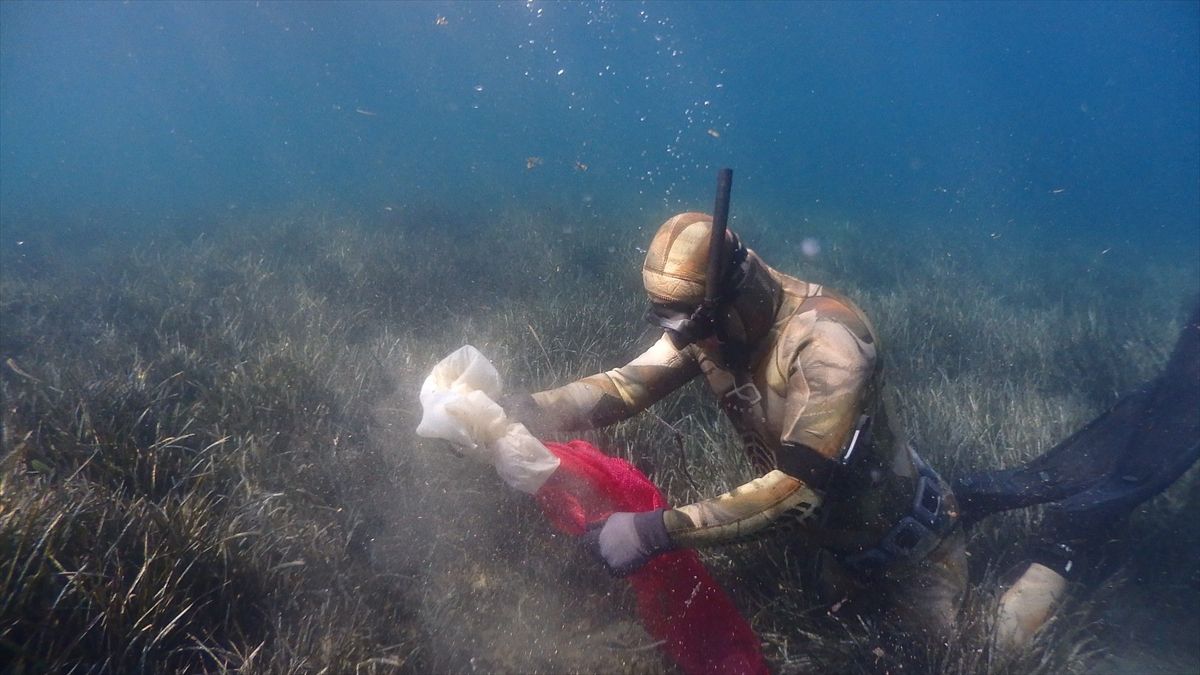 Bodrum'da deniz dibi temizliği yapıldı