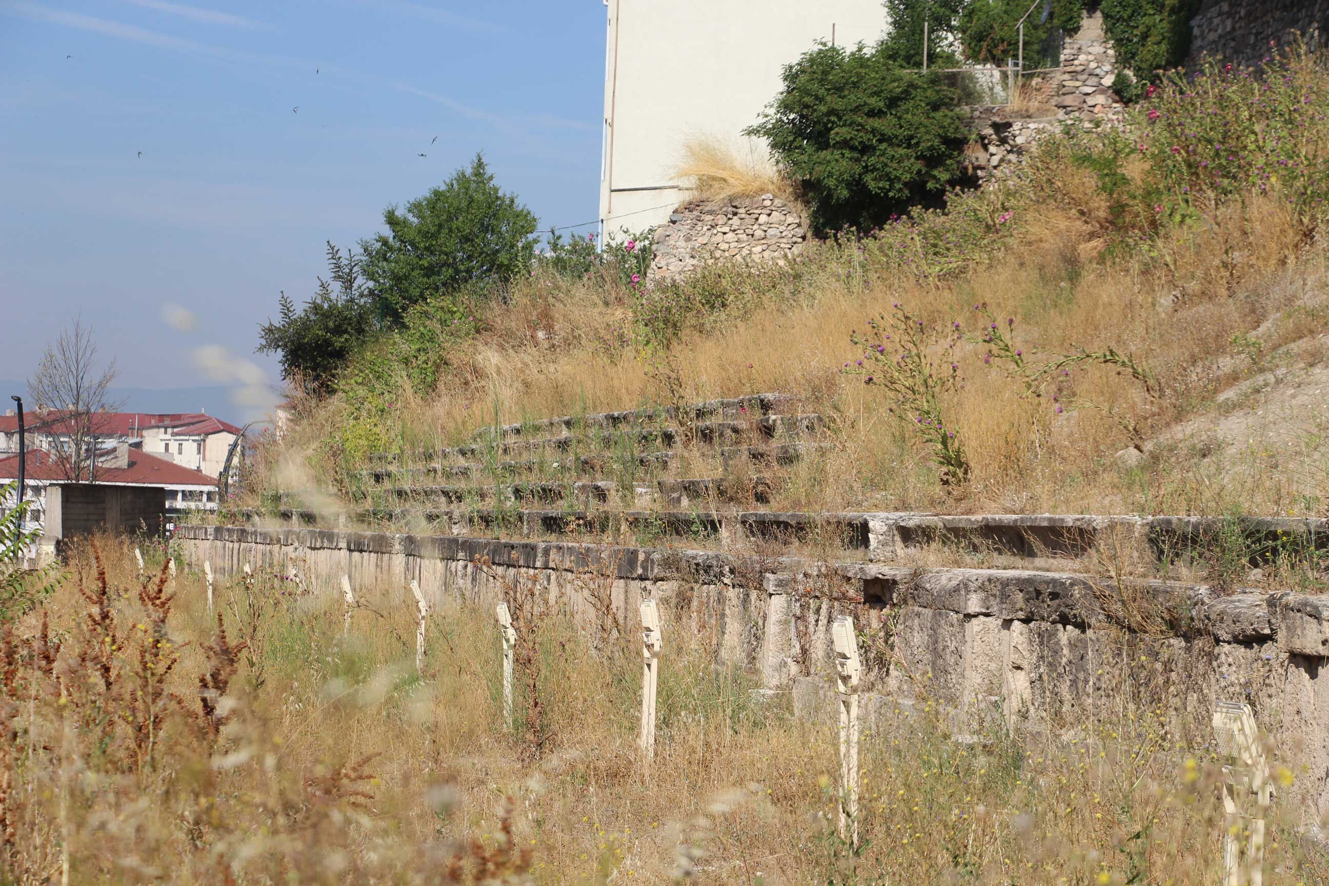 Bolu Antik Stadion, Otlar Kapladı (2)