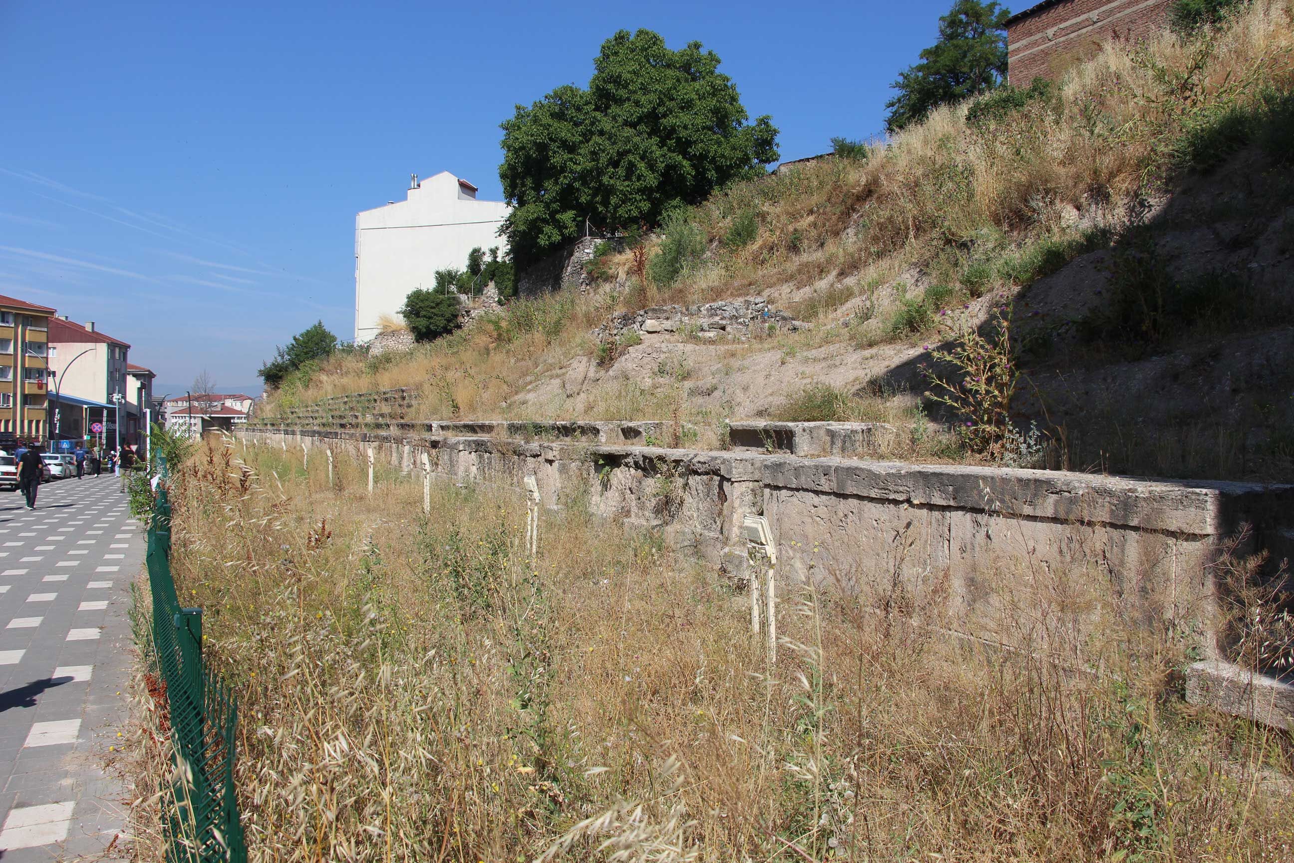 Bolu Antik Stadion, Otlar Kapladı (3)