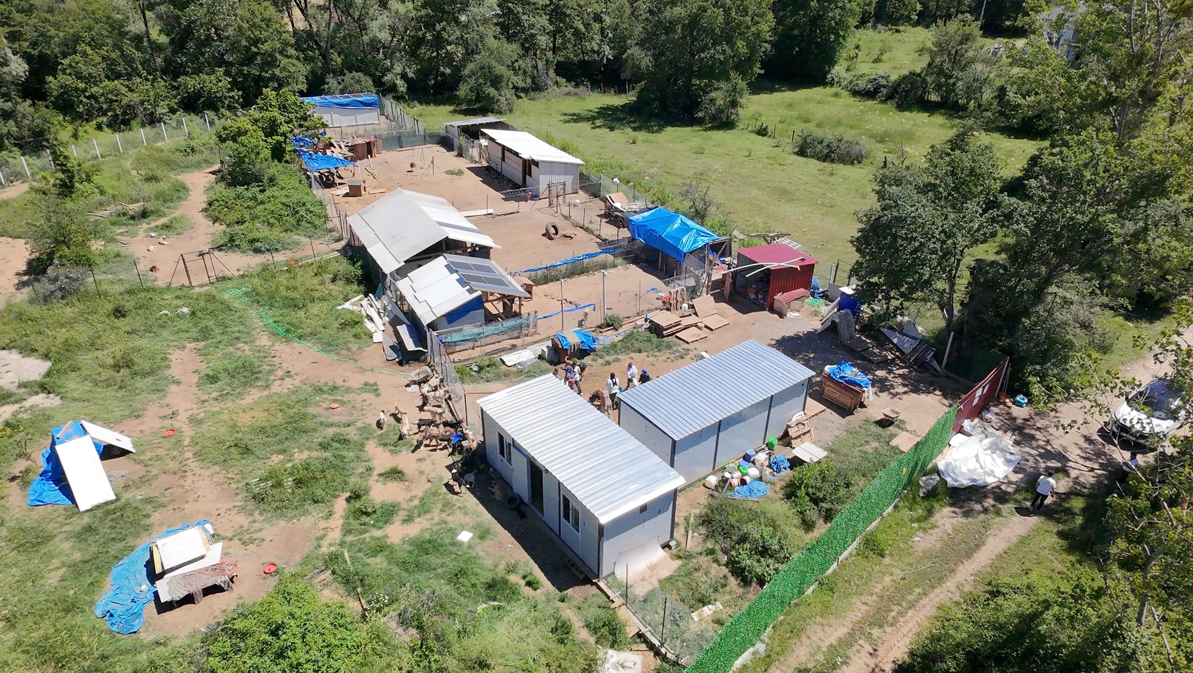 Bolu Hayvanseverler Bakımevi (1)