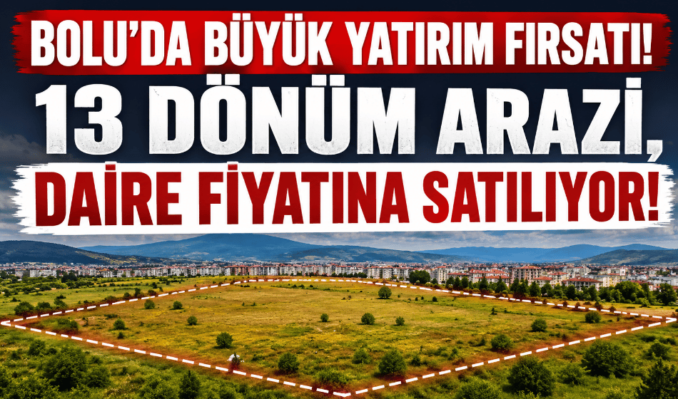 Bolu’da büyük yatırım fırsatı! 13 dönüm arazi, daire fiyatına!