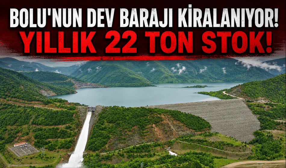 Bolu’daki Köprübaşı Baraj Gölü kiralanıyor: yıllık 22 ton stok!