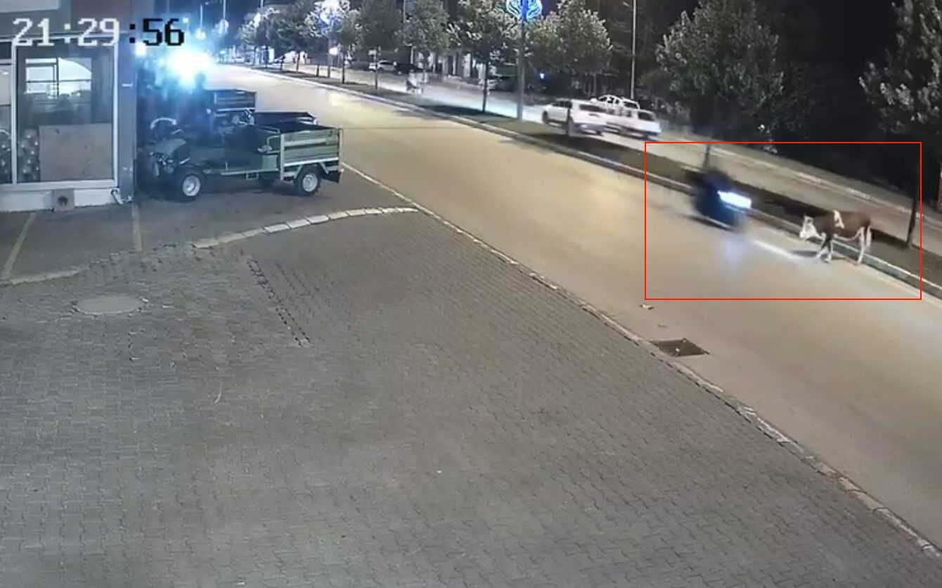 Motosikletle büyükbaş hayvana çarptı