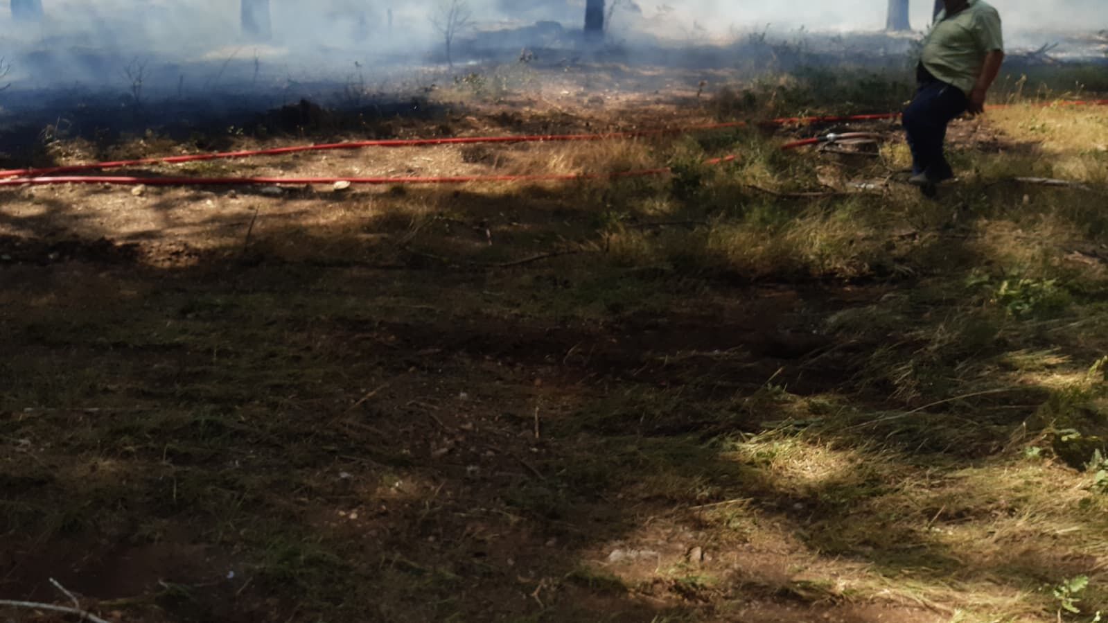 Bolu’da 3 Köy Arasındaki Ormanda Yangın Çıktı! Ekipler Seferber Oldu (12)