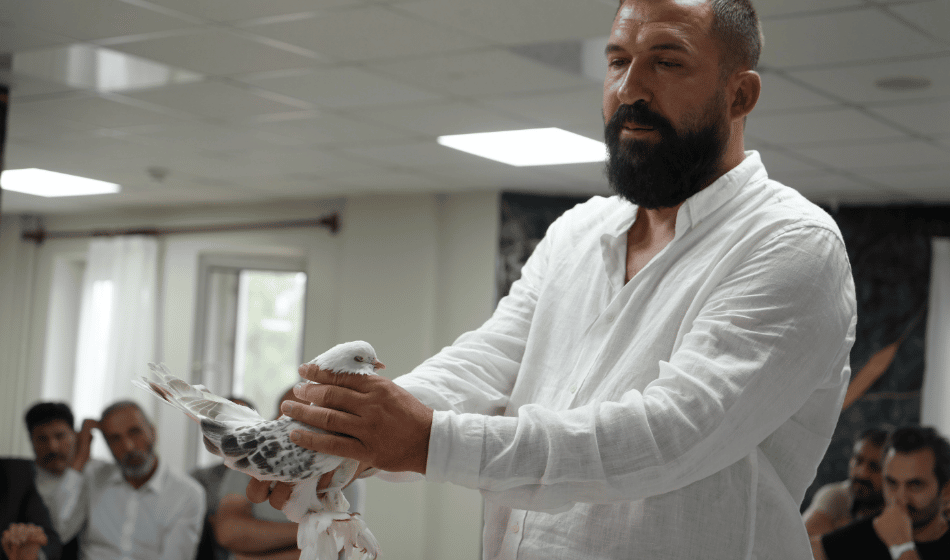 Hızlı Küçültme (2)