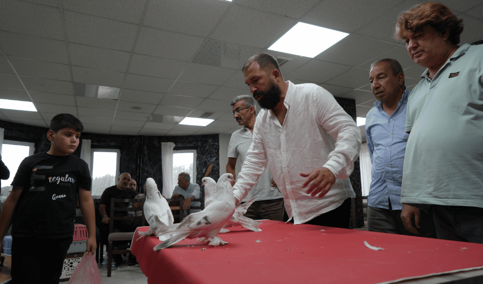 Hızlı Küçültme (4)