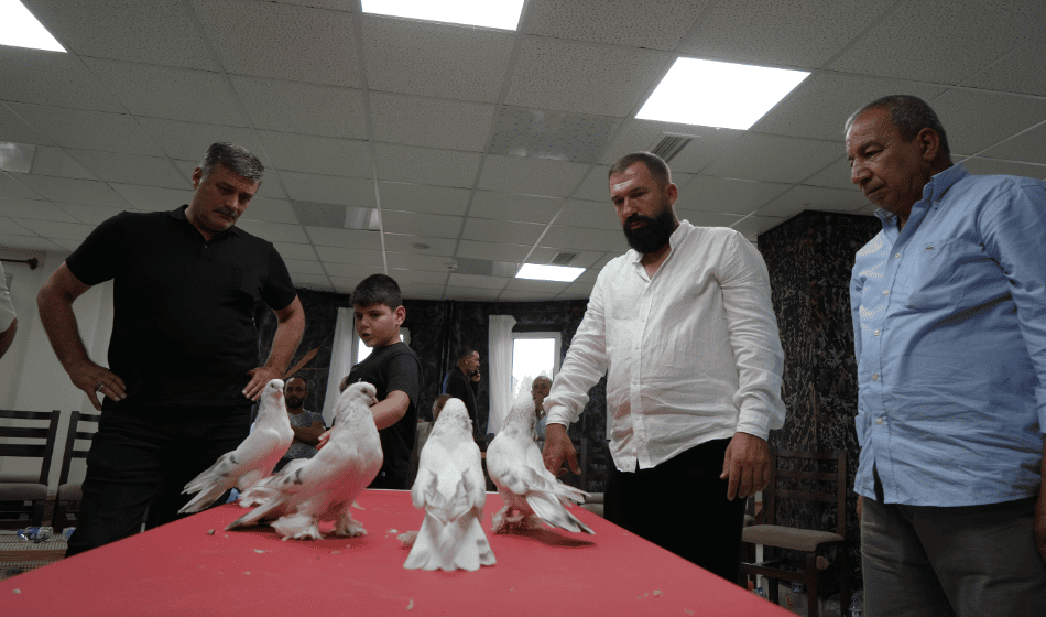 Hızlı Küçültme (5)