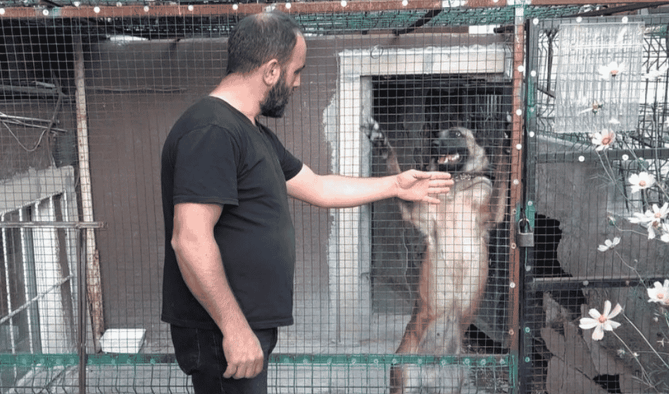 800 Bin Tl'lik Güvercinlerini 24 Saat Kamera, Çelik Kapı Ve Kurtla Koruyor (2)