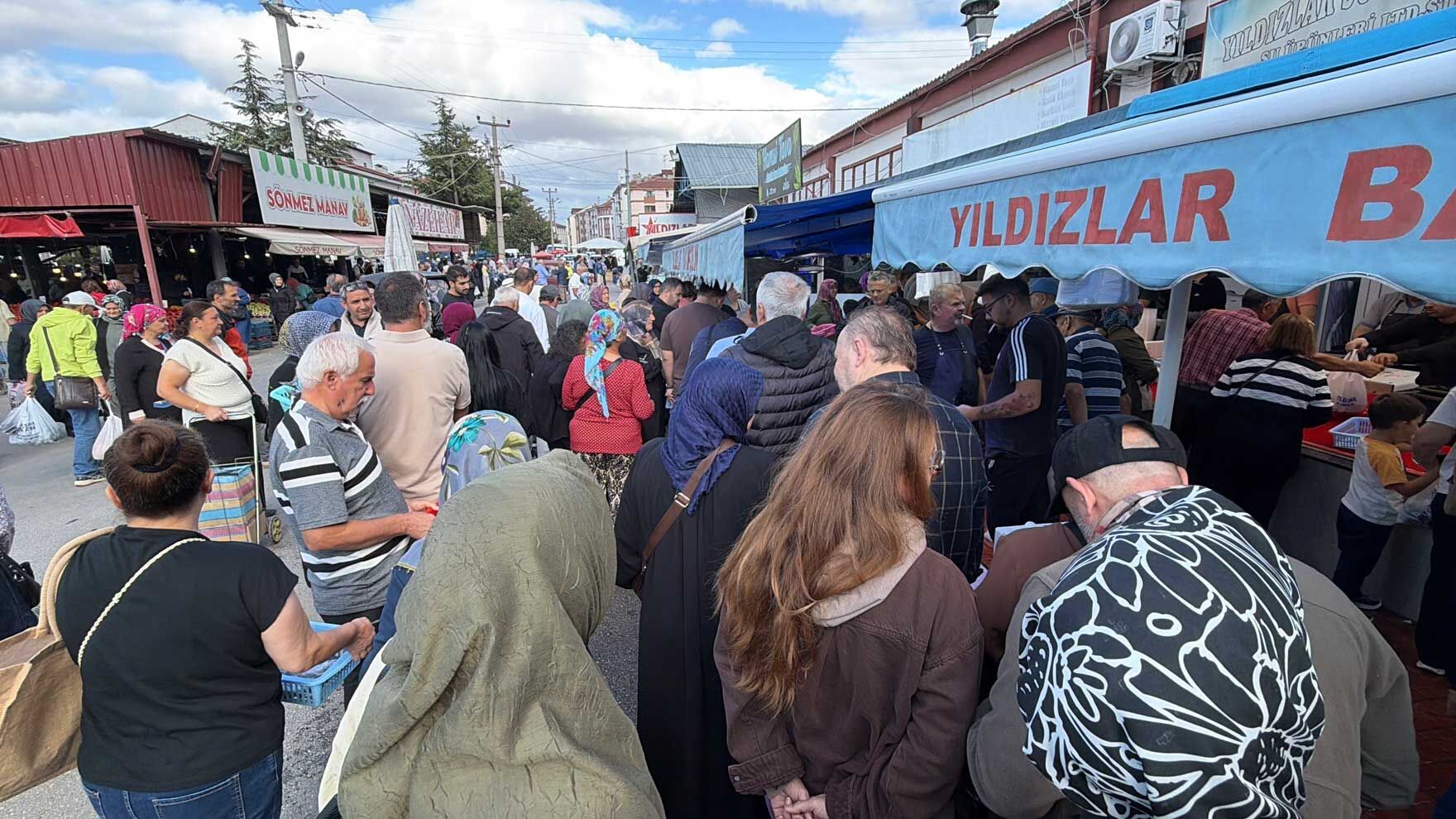 Bolu Palamut Kuyruğu (3)
