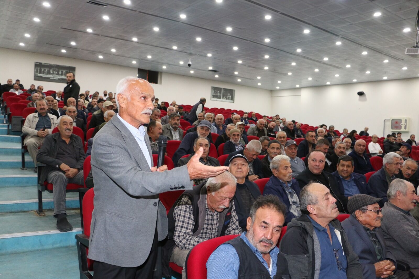 Mudurnu Kanatlı Hayvan (2)