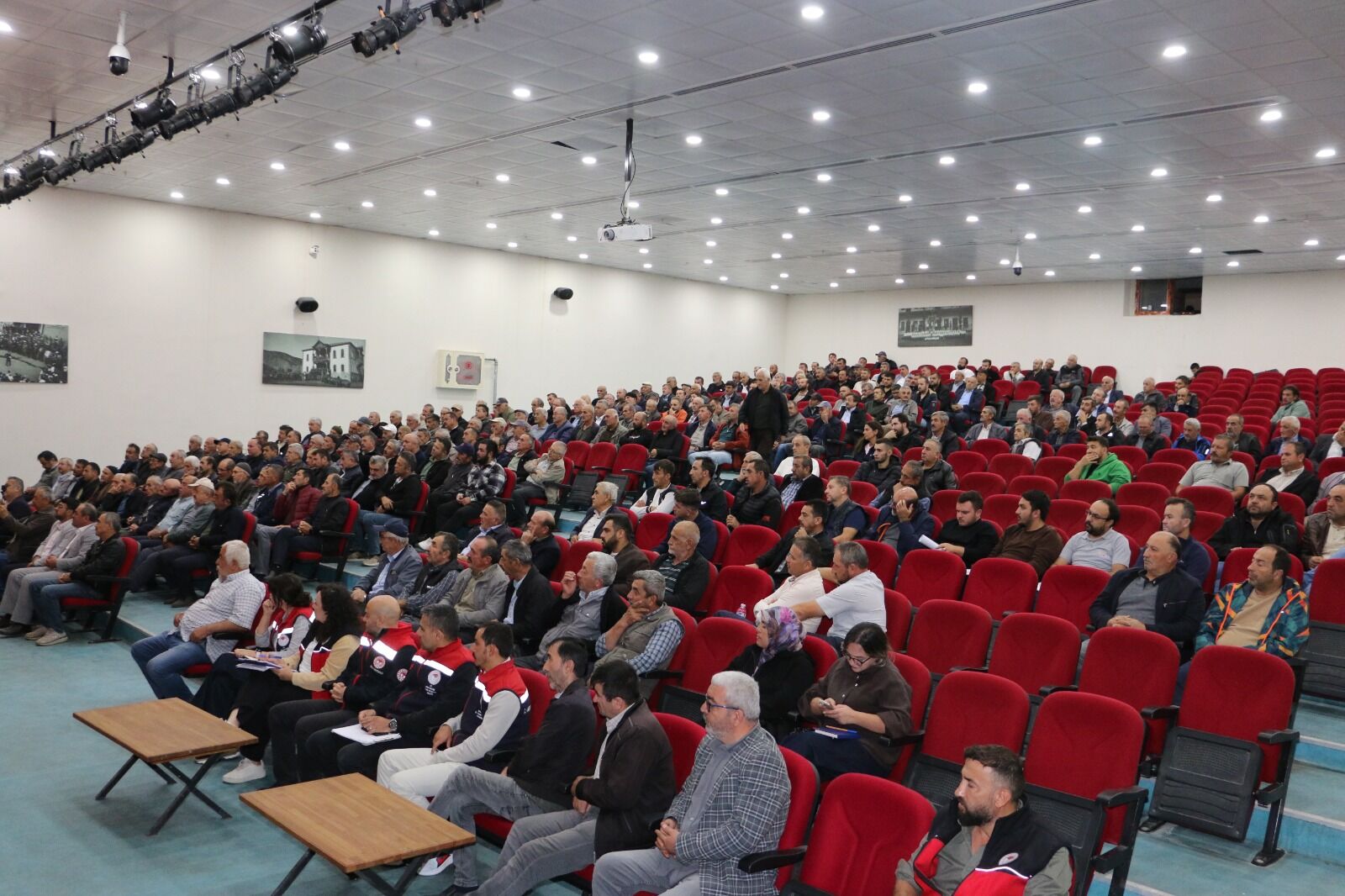 Mudurnu Kanatlı Hayvan (5)
