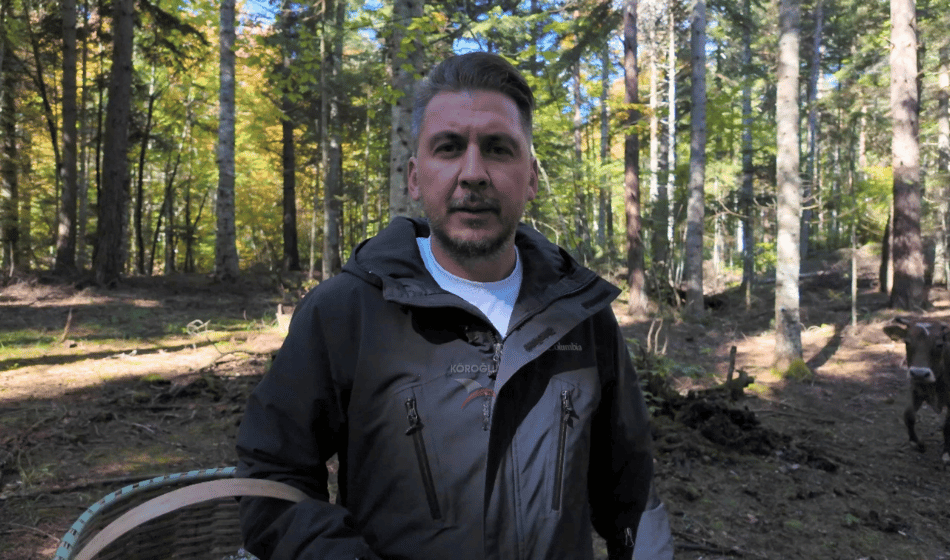 Bolu Gökhan Bilen, Mantar (9)
